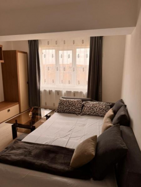 apartament brancoveanu 98